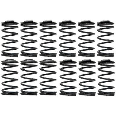 Front Hold Down Spring (Pack of 12) by RAYBESTOS - H1153 pa2