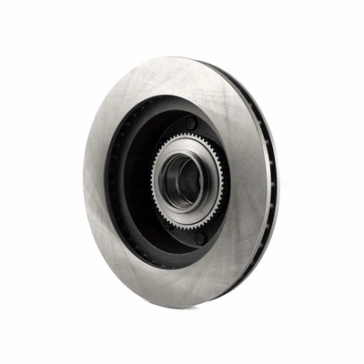 Front Hub And Rotor Assembly by TOP QUALITY - 8-66528 pa10