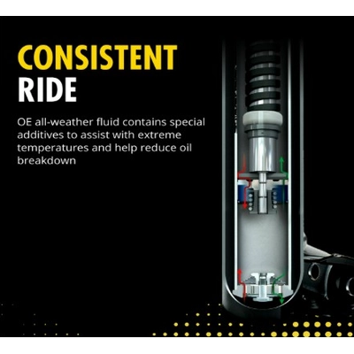 Front OESpectrum Strut by MONROE/EXPERT SERIES - 73169 pa1