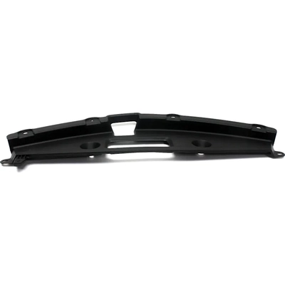 Front Panel Molding - NI1224100 pa2