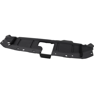Front Panel Molding - NI1224116 pa1