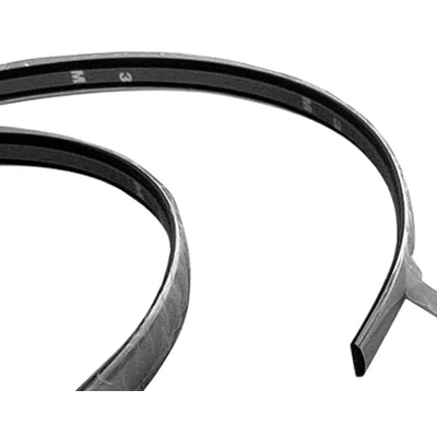 Front Passenger Side Bumper Impact Strip by SHERMAN PARTS - 766-250 pa1