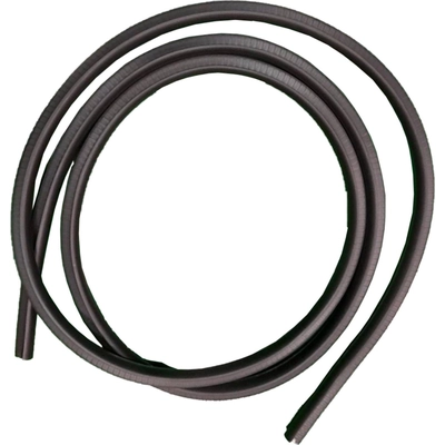 Front Passenger Side Door Weatherstrip by SHERMAN PARTS - 332A-110U pa1