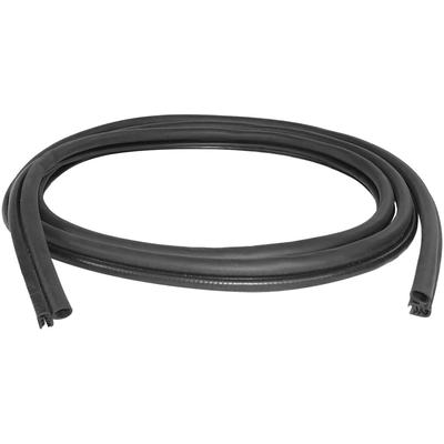 Front Passenger Side Door Weatherstrip by SHERMAN PARTS - D3010 pa1