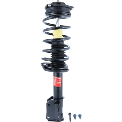 MONROE - 173021 - Quick-Strut and Coil Spring Assembly pa1