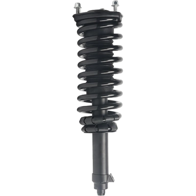 MONROE - 173295 - Quick-Strut and Coil Spring Assembly pa1