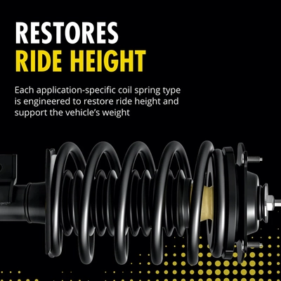 MONROE/EXPERT SERIES - 183013 - Strut Assemblies pa1