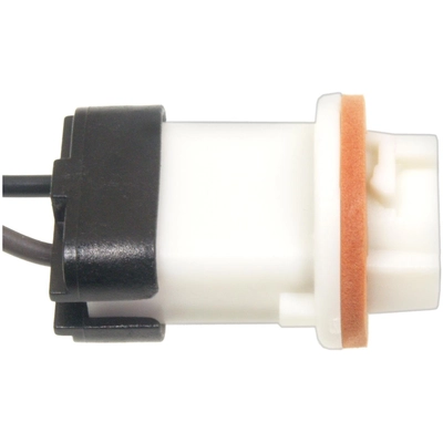 BLUE STREAK (HYGRADE MOTOR) - HP3845 - Courtesy Light Socket pa2