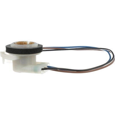 Front Side Marker Light Socket by BLUE STREAK (HYGRADE MOTOR) - S584 pa30
