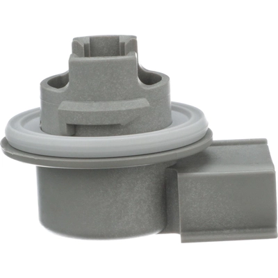 BLUE STREAK (HYGRADE MOTOR) - S876 - Back Up Light Socket pa9