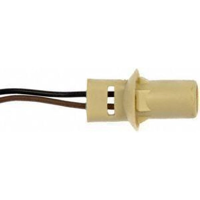 Front Side Marker Light Socket by DORMAN/CONDUCT-TITE - 85861 pa2