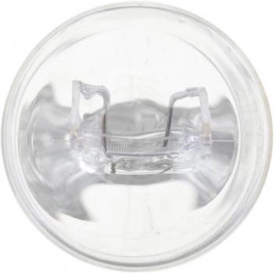 Front Side Marker (Pack of 10) by PHILIPS - 7443CP pa37
