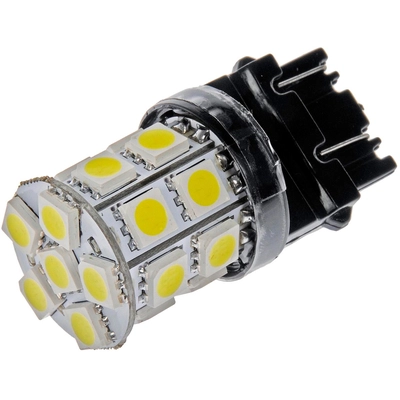 DORMAN - 3157W-SMD - Tail Light Bulb pa3