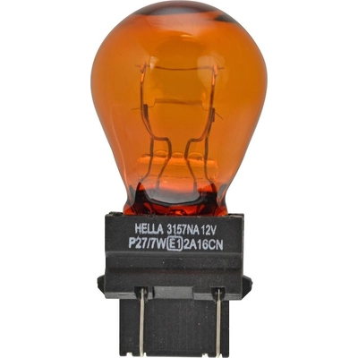 Front Sidemarker (Pack of 10) by HELLA - 3157NA pa1