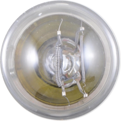 PHILIPS - 3496LLB2 - Turn Signal Light Bulb pa11