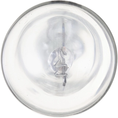 PHILIPS - 916LLB2 - Tail Light Bulb pa7