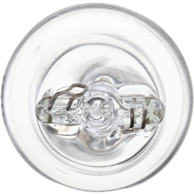 PHILIPS - 916LLB2 - Tail Light Bulb pa8