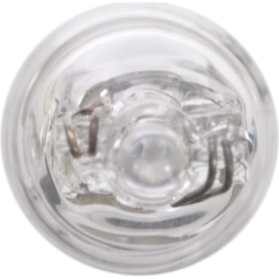 WAGNER - BP24 - Bulb pa2