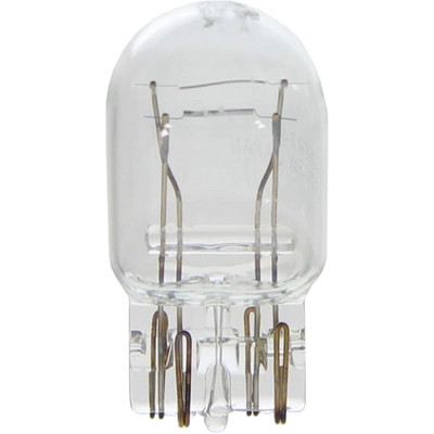 WAGNER - BP7443 - Bulb pa1