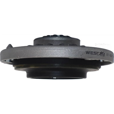 Front Strut Mount by WESTAR INDUSTRIES - ST10027 pa1