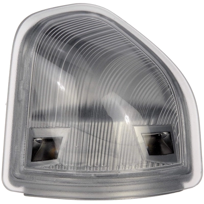 DORMAN - 926-123 - Door Mirror Turn Signal Light pa1