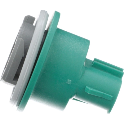 Front Turn Signal Light Socket by BLUE STREAK (HYGRADE MOTOR) - S810 pa6