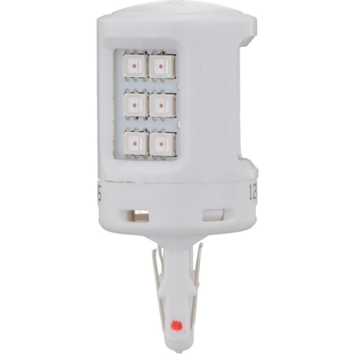 Front Turn Signal Light Socket by PHILIPS - 7443ALED pa2