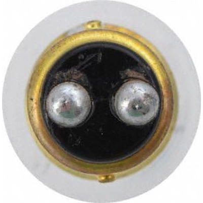 Front Turn Signal by PHILIPS - 1034B2 pa2