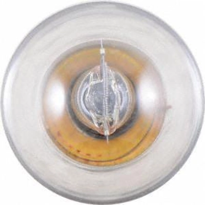 Front Turn Signal by PHILIPS - 1073B2 pa13