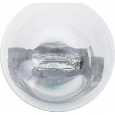 Front Turn Signal by PHILIPS - 3456LLB2 pa3