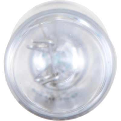 Front Turn Signal by PHILIPS - 74LLB2 pa2