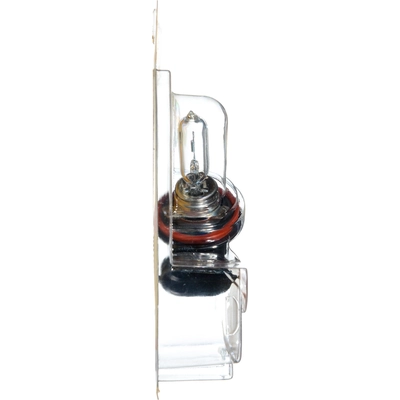 Front Turn Signal by PHILIPS - H9B1 pa1