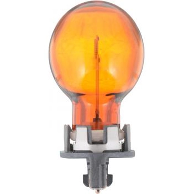 PHILIPS - PWY24WNAHTRC1 - Turn Signal Lamp Bulb pa1