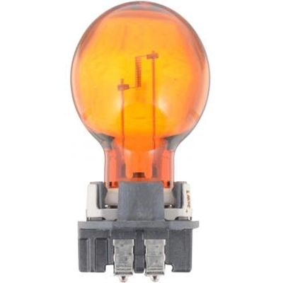 PHILIPS - PWY24WNAHTRC1 - Turn Signal Lamp Bulb pa2