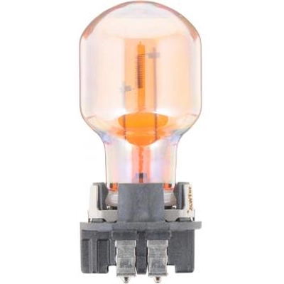 PHILIPS - PWY24WSVHTRC1 - Turn Signal Lamp Bulb pa2