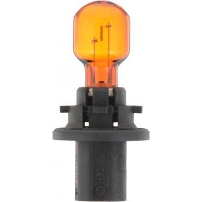 PHILIPS - HPC24WNAC1 - Front Turn Signal pa20