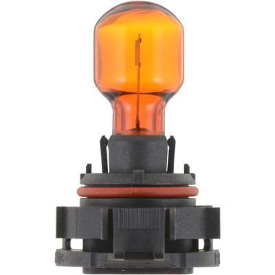 Front Turn Signal by PHILIPS - PSY24WNAC1 pa8