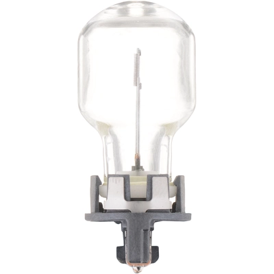 Front Turn Signal by PHILIPS - PW24WHTRC1 pa7