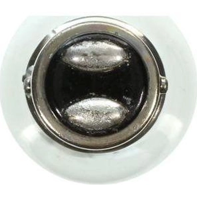 Front Turn Signal (Pack of 10) by WAGNER - 17916 pa21