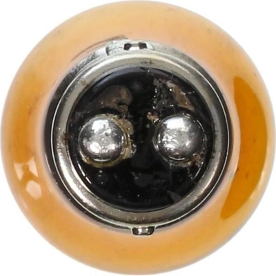 Front Turn Signal by WAGNER - BP2057NA pa11