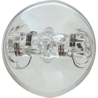 Front Turn Signal by WAGNER - BP7443LL pa1