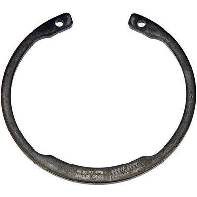 Front Wheel Bearing Retainer by DORMAN (OE SOLUTIONS) - 933-100 pa2