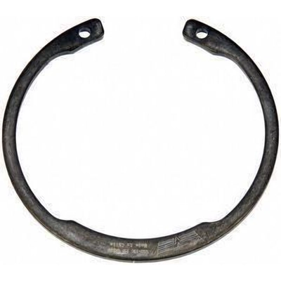 Front Wheel Bearing Retainer by DORMAN (OE SOLUTIONS) - 933-100 pa3