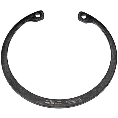 Front Wheel Bearing Retainer by DORMAN (OE SOLUTIONS) - 933-200 pa2
