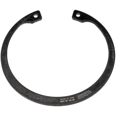 Front Wheel Bearing Retainer by DORMAN (OE SOLUTIONS) - 933-251 pa1