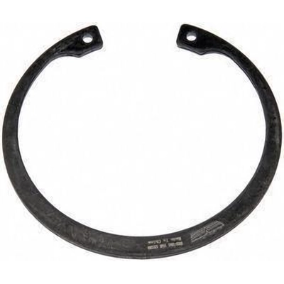 Front Wheel Bearing Retainer by DORMAN (OE SOLUTIONS) - 933-251 pa2