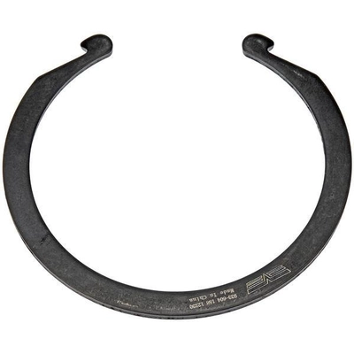 Front Wheel Bearing Retainer by DORMAN (OE SOLUTIONS) - 933-604 pa2