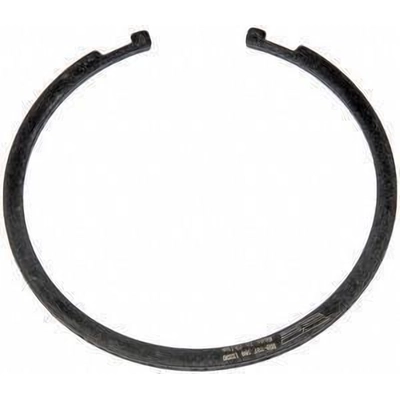 Front Wheel Bearing Retainer by DORMAN (OE SOLUTIONS) - 933-707 pa1