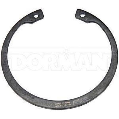 Front Wheel Bearing Retainer by DORMAN (OE SOLUTIONS) - 933-802 pa2