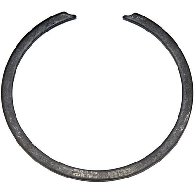 Front Wheel Bearing Retainer by DORMAN (OE SOLUTIONS) - 933-954 pa2
